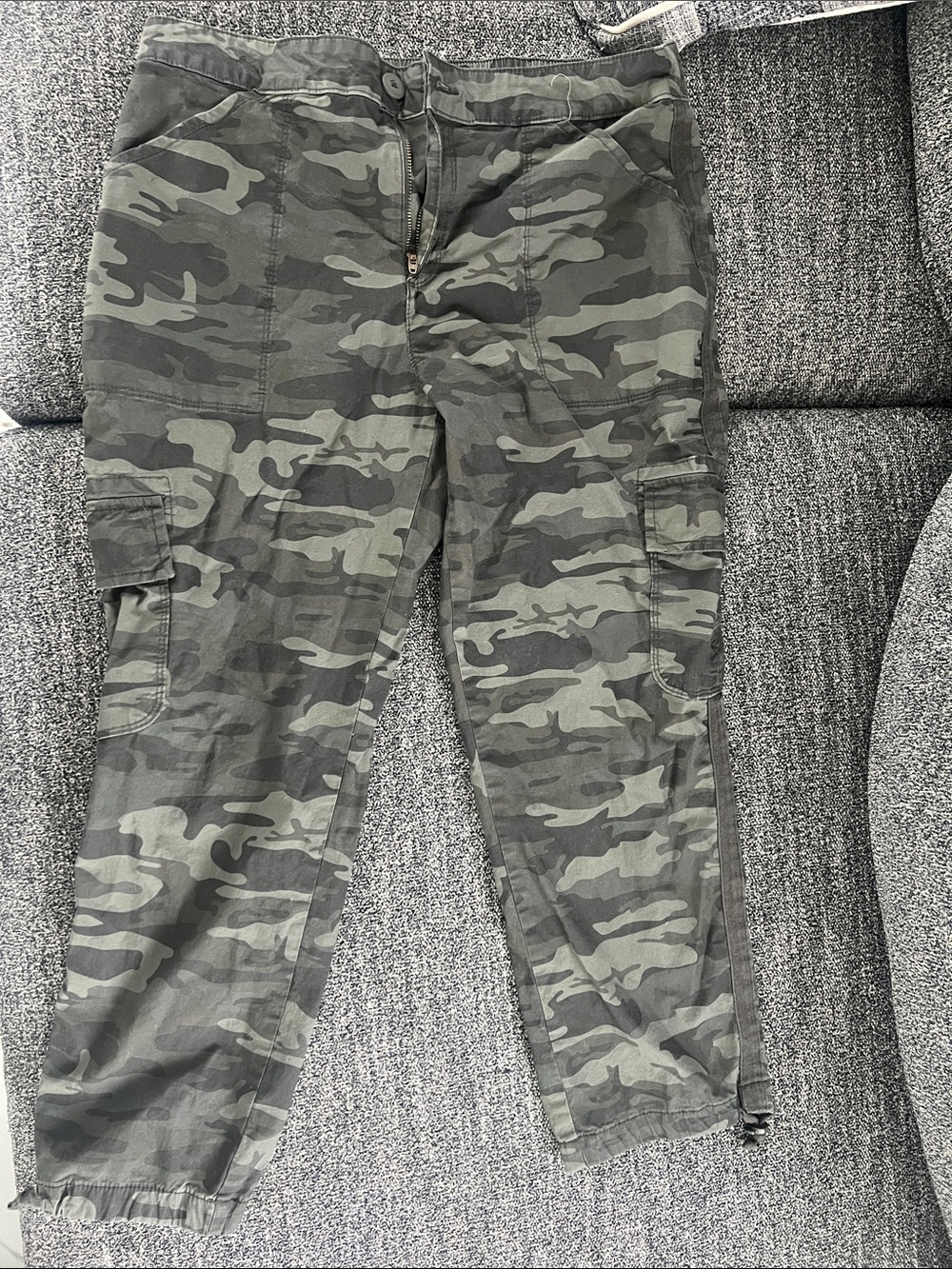 Camo Cargo Pants (Social Standard by Sanctuary)